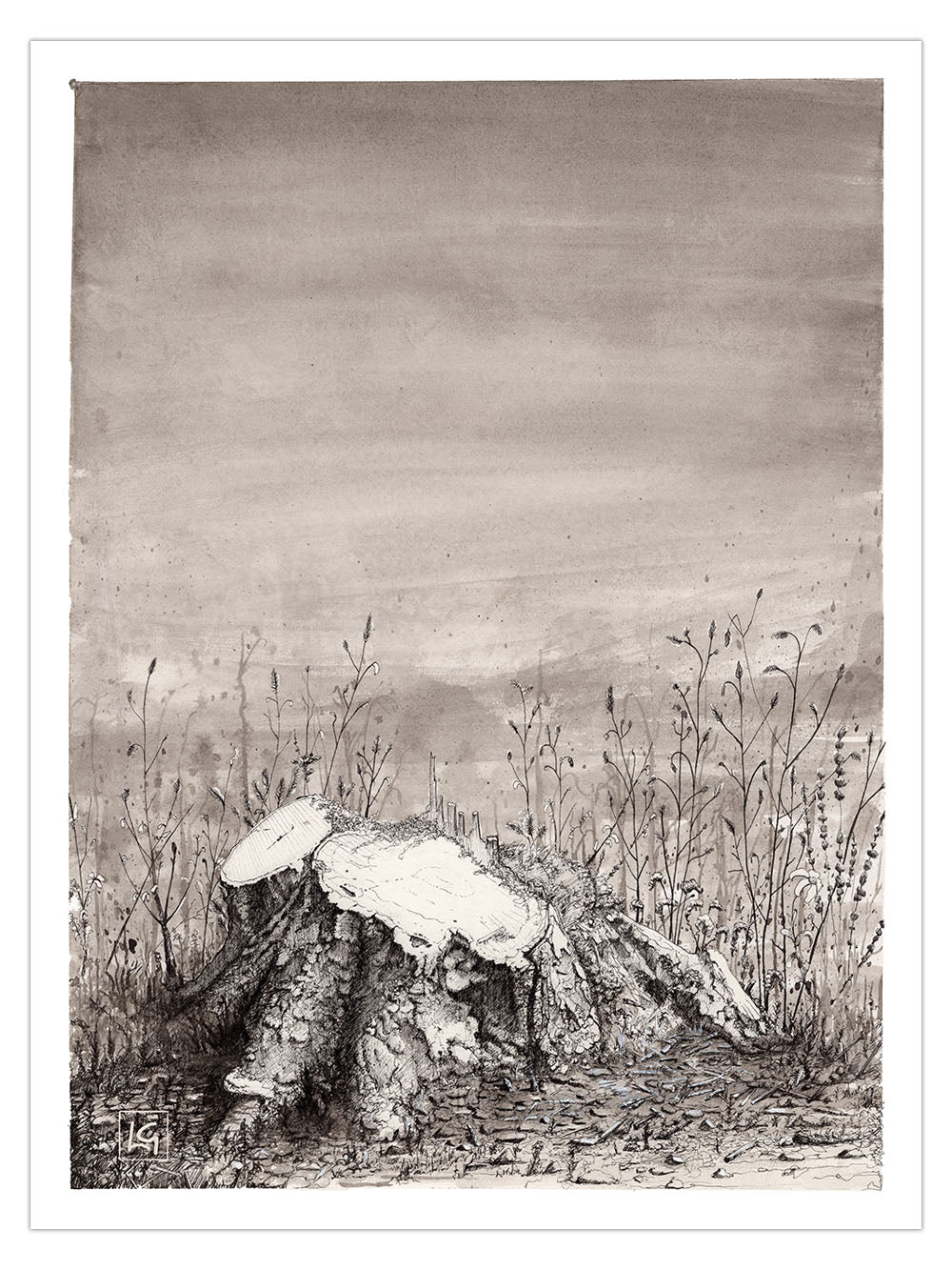 An Empy Field Art Print