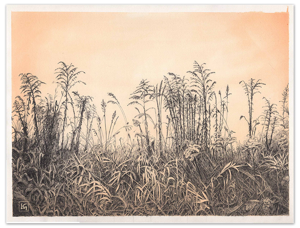 Autumn Field Art Print