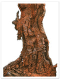 Burnt Tree II Art Print