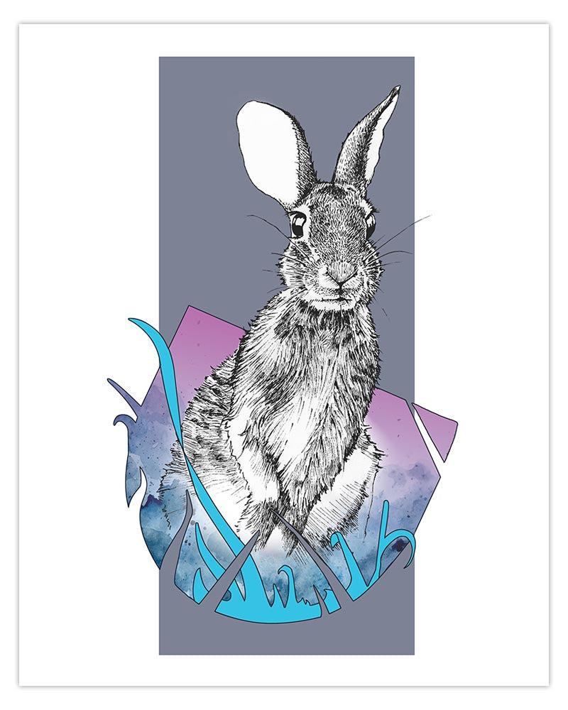 Eastern Cottontail Art Print