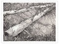 Fallen Brush Art Print