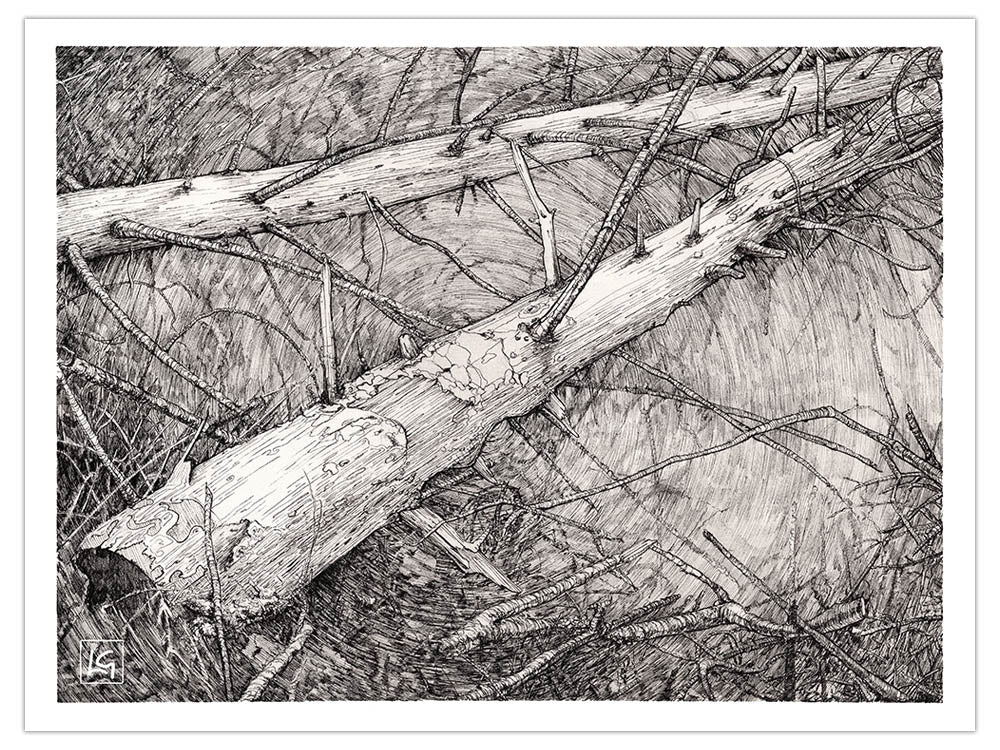 Fallen Brush Art Print