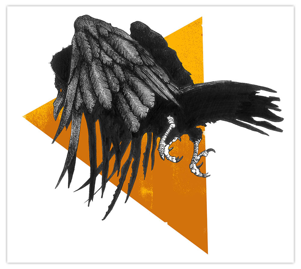 Fighting Corvid Art Print