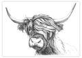Highland Cow Art Print