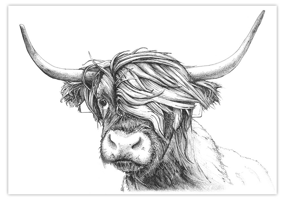 Highland Cow Art Print