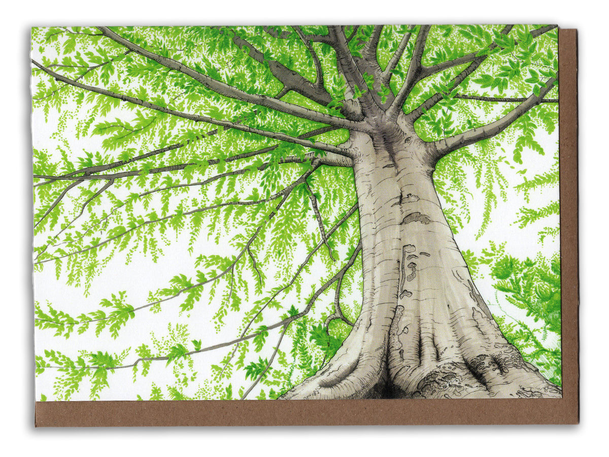 Forest Collection Card pack