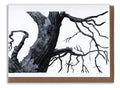 Burnt Tree Art Card