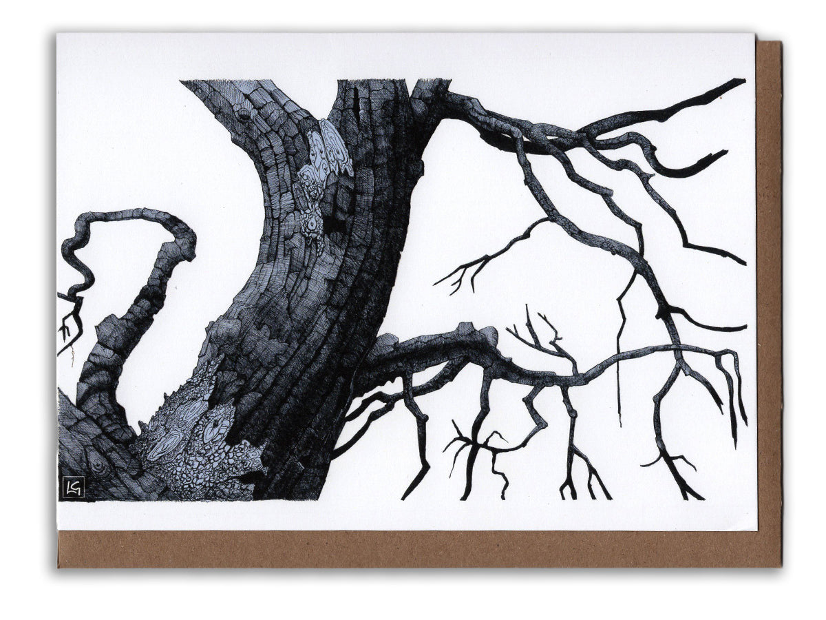 Forest Collection Card pack