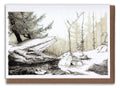 Still Forest Art Card