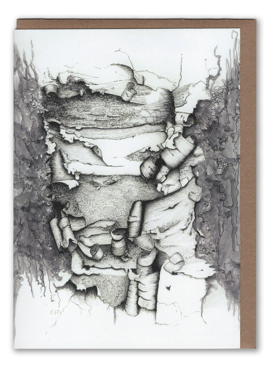 Forest Collection Card pack