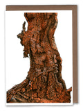 Burnt Tree II Art Card