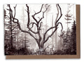 Elm Tree Art Card