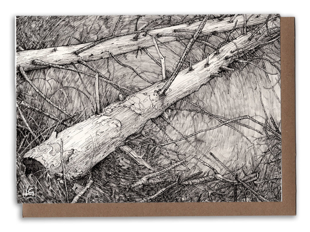 Forest and Field Collection Card pack