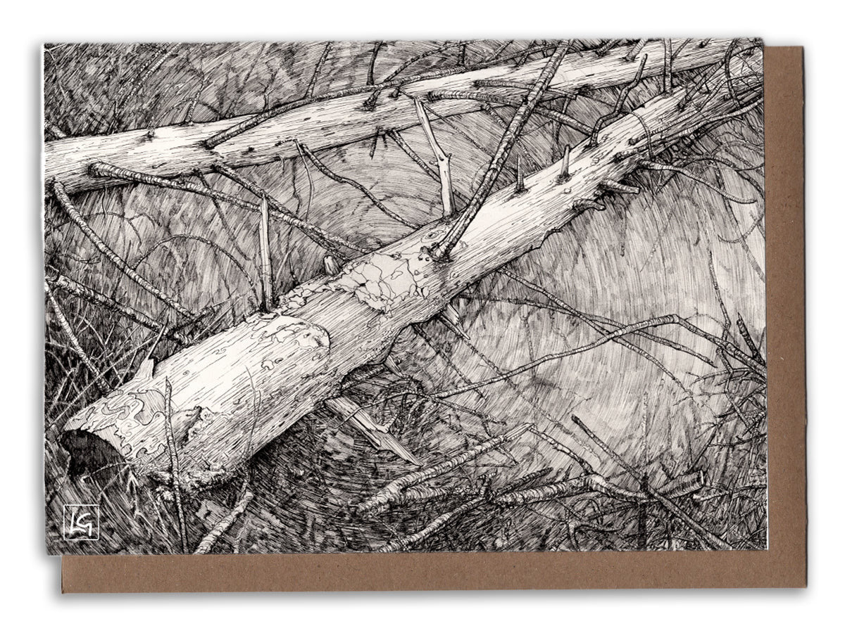 Fallen Brush Art Card