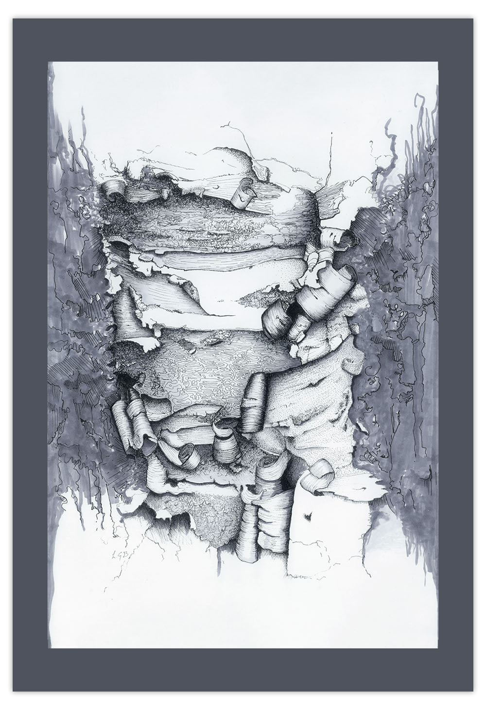 Silver Birch Art Print