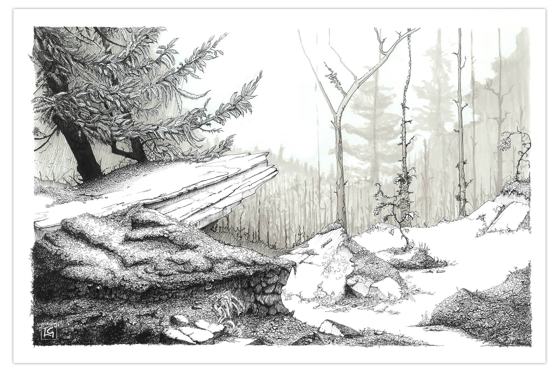 Still Forest Art Print